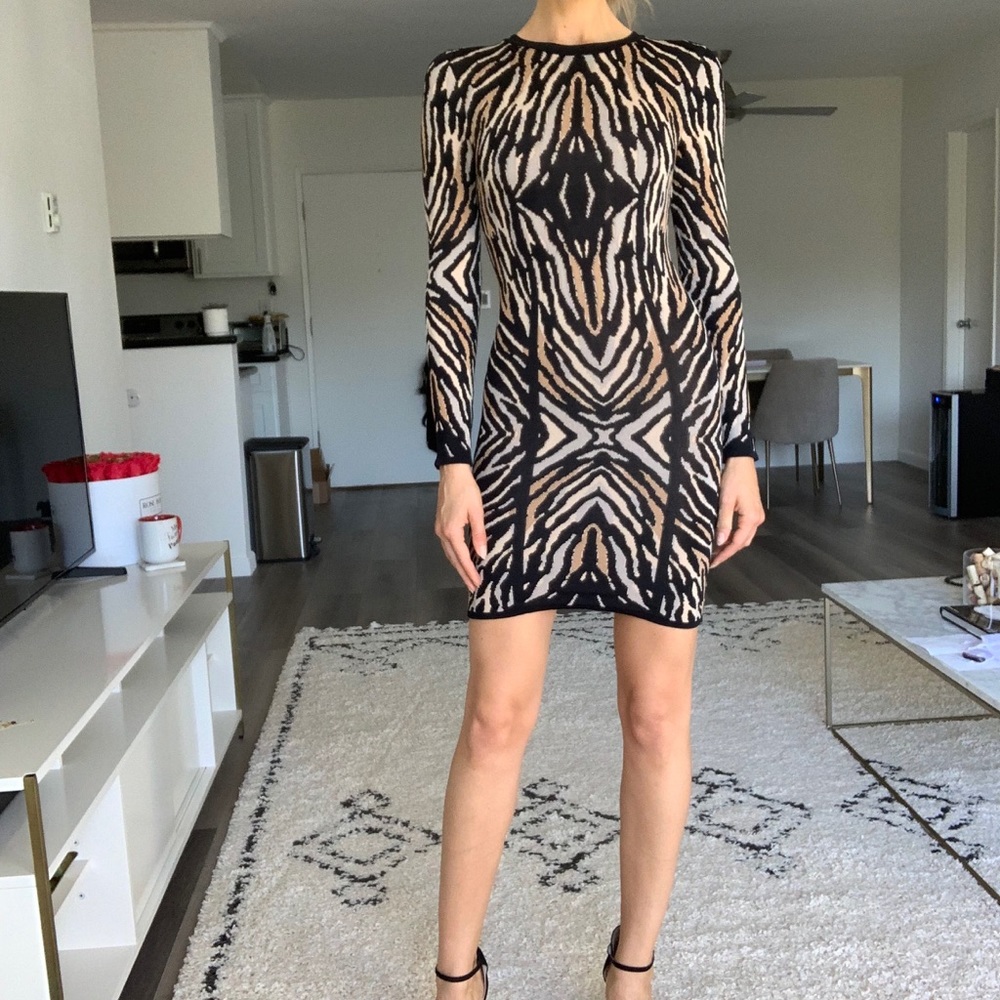 Torn by Ronny Kobo Animal Print Dress